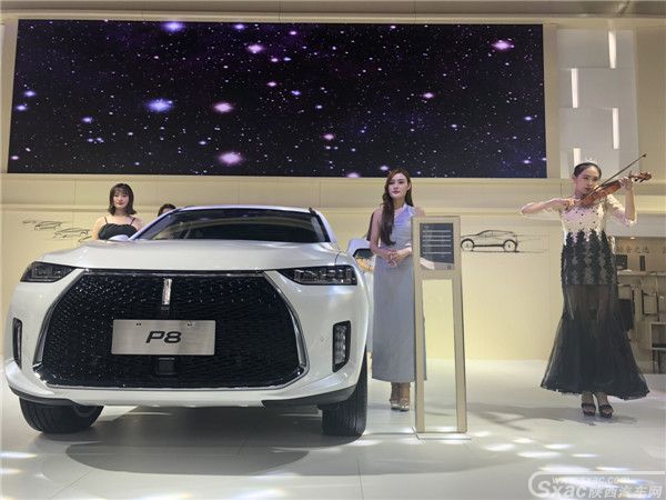 豪华插电混动SUV--WEYP8