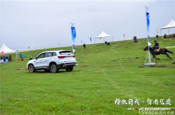 长安汽车新CS75实力非凡 草原试驾尽显英姿